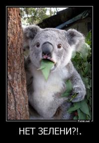 А вы хотели бы лечь под эту девушку