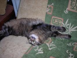 Он же, чуть старше!:)