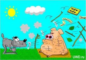 Фишкина солянка за 11.09.2014 