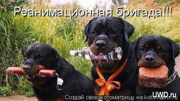 Фишкина солянка за 26.10.2014 г.