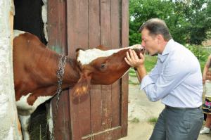 С тем, как укроСМИ обрабатывают ваш мозг можно проголосовать вот за ЭТО!
Не так ли?
