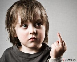 33 фотографии, снятые в идеальный момент