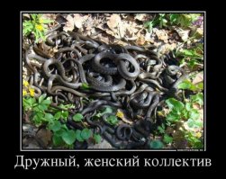 Фотопроект "Мы. Женщины"