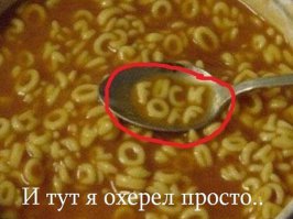 Pul mora di ))!!!
Mora di er ei hore. Mora di er mann, ravhol. 
Dra til helvette din stygge faen.... 
Мне Вас искренне жаль.))) Вы самый обыкновенный фигляр и шут!
Faen ta deg !!!