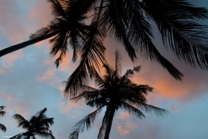 фотка классная. люблю я такие моменты
ну если меряццо письками ))) то я могу дооолго )))