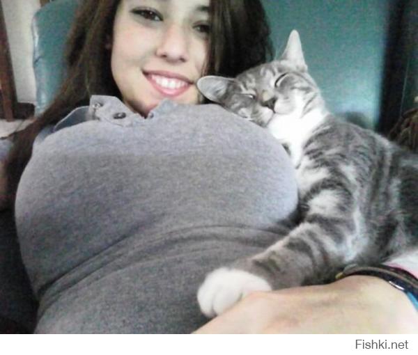 котэ тоже любят сиськи
