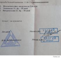 Говорящие фамилии