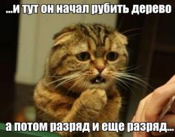 Найден спасатель Барсика