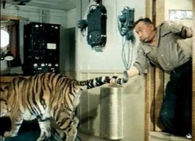 наши тоже снимали,без всяких там спецэффектов.