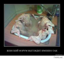 Фишкина солянка за 09.11.2014