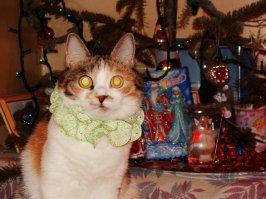 А мы тоже гирлянда