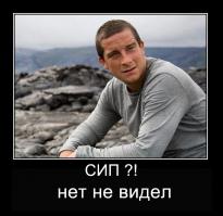 Когда стервятник звонит по телефону с Иордании