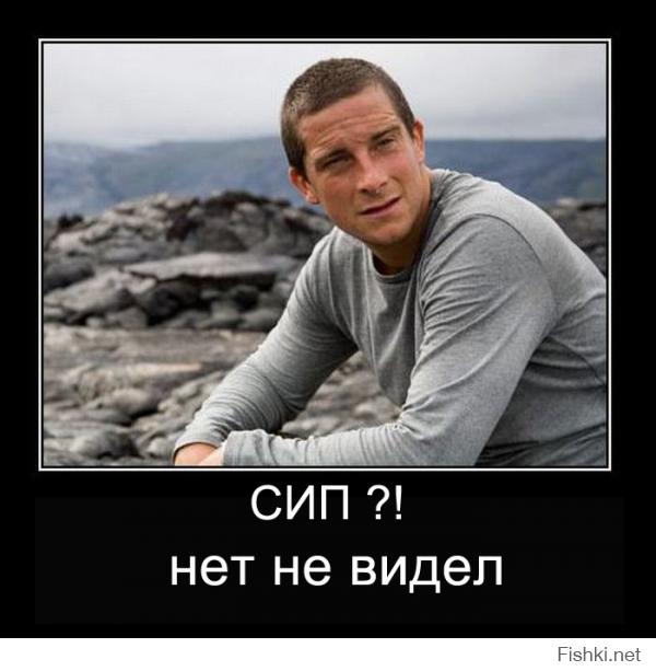 Когда стервятник звонит по телефону с Иордании