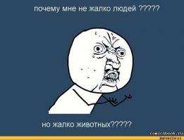 Животные, которые подготовились к Хэллоуину лучше чем ты!