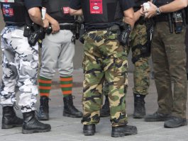 Протест Штанов