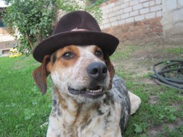 Просто замечательные фотографии