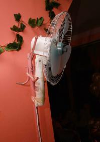 работаю фотографом. два часа назад пришел с юбилея, на котором был в качестве все того же фотографа. и вот что я увидел в нашем местном "кафе"