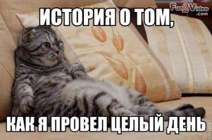 Фишкина солянка за 19.08.2014