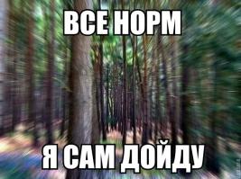 Фишкина солянка за 18.08.2014