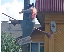 Фишкина солянка за 20.08.2014