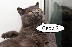 Скоро на улицах вашего города ... 