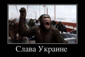 Дикари XXI века 