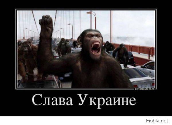 Дикари XXI века 