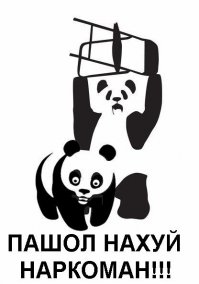 Профиссеонал,нарко журналист