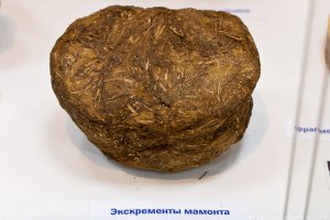 это видео древнее