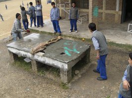 кто на что гаразд