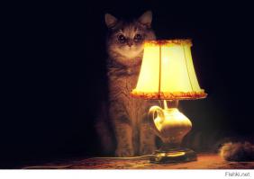 Вместо тысячи слов...