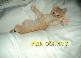 М и Ж. Какие мы разные