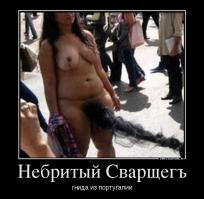 Перепись укропитеков. Часть 6