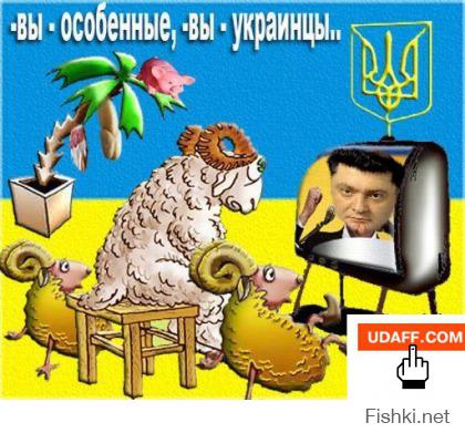 Украина-Россия. Враг на пустом...поле