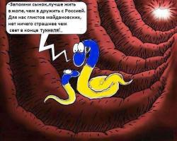 Демотиваторы про Украину