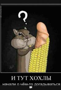 Ещё один способ насолить России