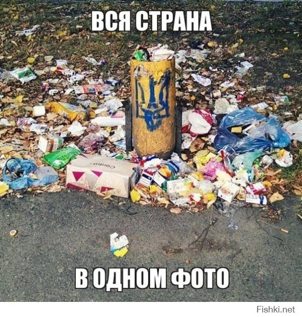 Как голосовала Украина