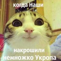 Пора освободить Киев вновь