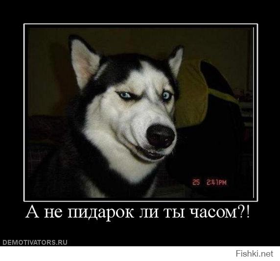 Не пустят переночевать