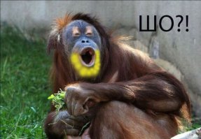 Санкции? Получите ответ. В картинках