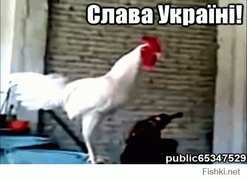 Донецк и весь Донбасс снова в огне,много жертв