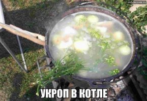 В Киеве признали отсутствие регулярных частей ВС России в Донбассе