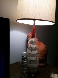 22 потайные комнаты, о которых вы мечтали с детства