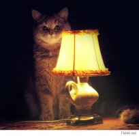 Офисный триллер