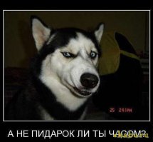 Тернистый путь модника Вани к вершине модельного олимпа