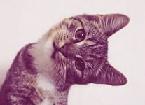 Ты так смотрел??