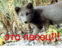 ТП по фински