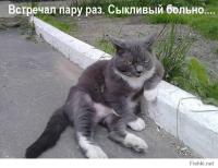 Щенки, брошенные в лесу