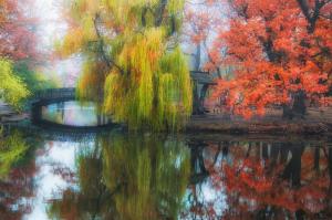 Красивая реальность