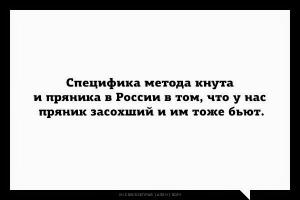 Фишкина солянка за 12.11.2014